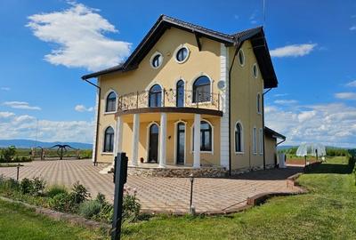 Casa de 428 mp si curte amenajata de 1920 mp - 2