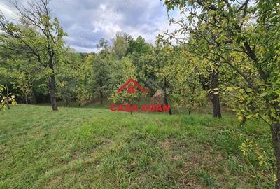 Casă cu Teren 1671 Mp în Șotrile - 11