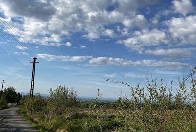 Spațiu comercial, în Dealu Mare - 2