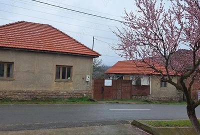 Vand casa Urvi? de Beiu? - 6