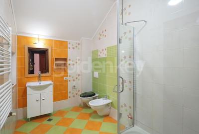 Casă individuală cu 6 camere cu Canalizare în Iancu Nicolae - 18