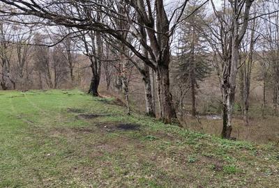 Spațiu comercial, în Central - 6