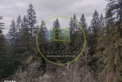 Apartament cu 2 camere decomandat în Predeal - 10