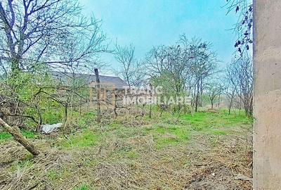 Casă cu 2 camere cu Teren 1440 Mp în Secusigiu - 5