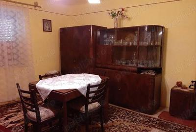 Casă cu 3 camere cu Teren 4000 Mp în Tămașa - 2