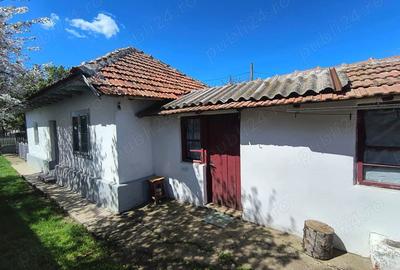 Teren de 1867 mp, în Manasia - 3