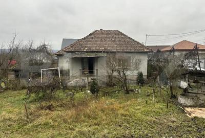 Casă cu 4 camere cu Teren 3000 Mp în Cășeiu - 2