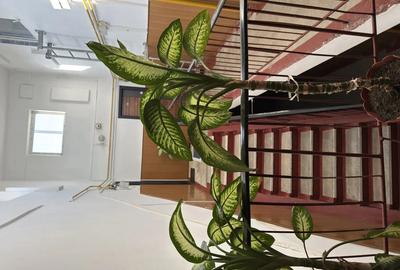 Proprietar vand apartament cu 4 camere - 3