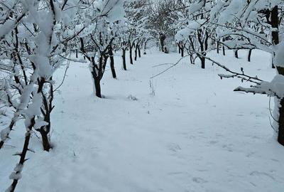 Teren de 11860 mp, în Călugăreni - 2