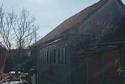 Casa Deta de vanzare. - 1