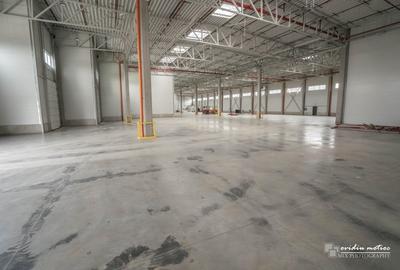 Hale depozitare langa autostrada - 6