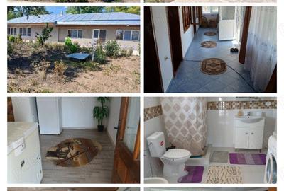 Casă cu 4 camere cu Teren 3300 Mp în Toporu - 2