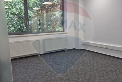 Spațiu birouri 200 - 2000 mp Sala Palatului - Cismigiu - 3