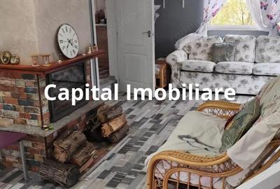 Casa Baicoi 95 mp Sc, 2578 mp teren - 12