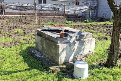 Casă cu Teren 1600 Mp în Ciocârlia - 2