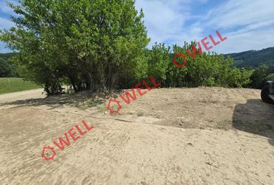 Teren agricol intravilan de 21846 mp, în Scrădoasa