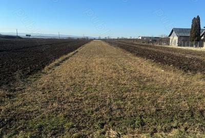 Teren de 2000 mp, în Pătrăuți - 2
