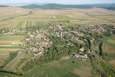 Teren de 6245 mp, în Dobolii de Jos - 14