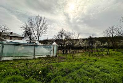 Casă cu 3 camere în Mârțești - 6
