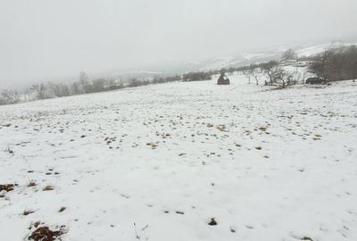 Casă cu 2 camere în Vânători - 2