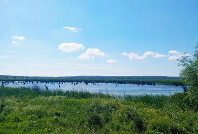 Vand teren intravilan 4000MP cu dechidere la Delta Neajlovu - 5