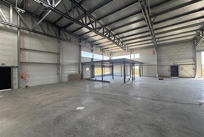 Inchiriere depozit/hala/spatiu industrial Mogosoaia - Buftea - 4