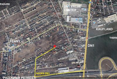 Corbeanca - casa individuala - padure - Petresti - 20