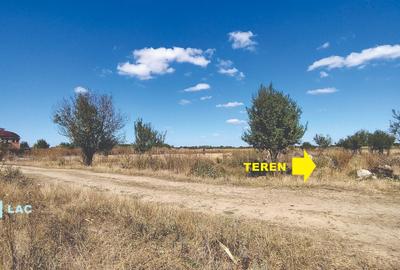 Vanzare teren 4400 mp Snagov - Gruiu, cu deschidere la lacul Snagov - 6