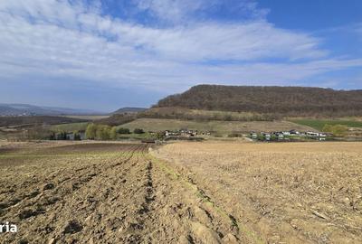 Teren de 7000 mp, în Hoghilag - 2