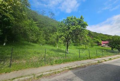 Teren de 1214 mp, în Câmpulung Muscel - 4