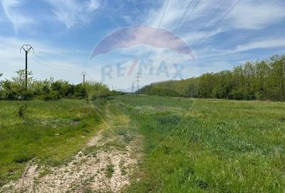 Teren Construcții intravilan de 138104 mp, în Dragomirești-Vale - 9