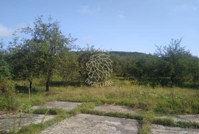Teren agricol extravilan de 1500 mp, în Nord-Est - 4