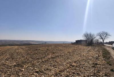 Teren în Grănicești