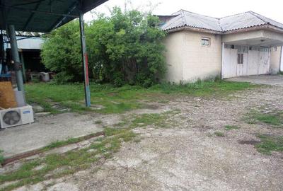 Hala nord Odobesti, Vrancea Hala nord Odobesti, Vrancea - 3