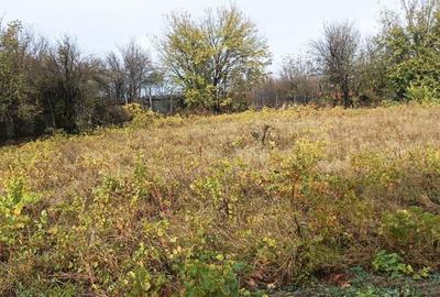 Casă cu 3 camere cu Teren 2493 Mp în Pădina - 6