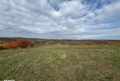 Teren de 3649 mp, în Dealuri Oradea - 1