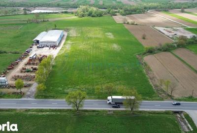 Teren de 15782 mp, în Aușeu - 3