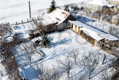 Casă cu 2 camere cu Teren 1500 Mp în Cetariu - 9