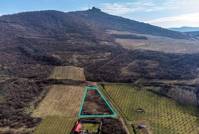 Teren intravilan in ?iria pe deal - 1