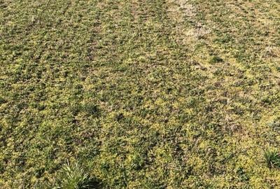 Teren extravilan de 4000 mp, în Mărăcineni - 14