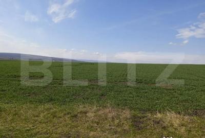 Teren de 4666 mp, în Central