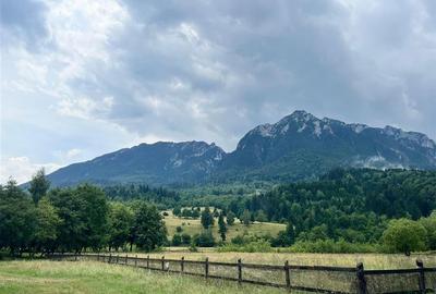 TEREN INTRAVILAN DEOSEBIT, ZARNESTI, VALEA BARSEI - 3