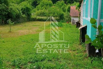 Casa bătrânească de vânzare | 4 camere | Hunedoara | Micănești - 8