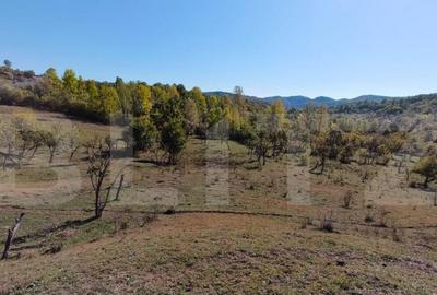 Teren extravilan cu priveli?te superba , livada ?i poten? - 10