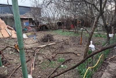 Casă cu 4 camere cu Teren 700 Mp în Exterior Vest - 5