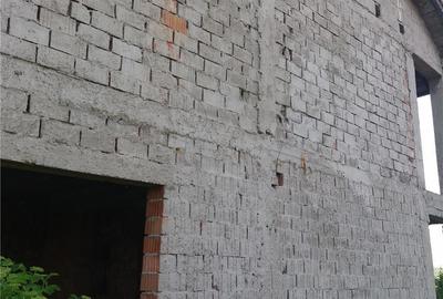 Casă cu 6 camere cu Teren 5000 Mp în Baldovinești - 2