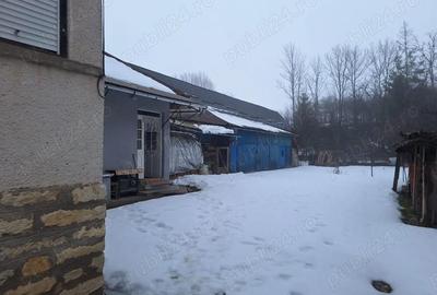 Casă cu 2 camere în Mănăstireni - 1