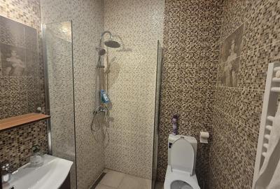 Casa 2 apartamente si curte privata , AFI Mall Brasov - 12