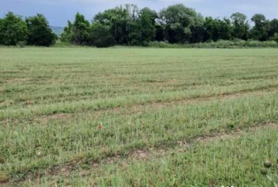 Teren de 4900 mp, în Boldești - 4