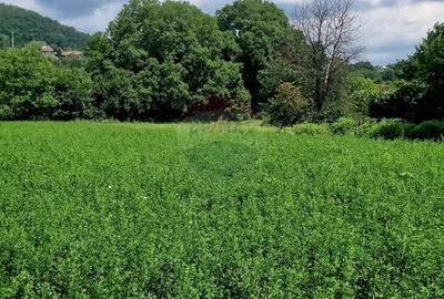 Teren intravilan 1000 mp Vii?oara, utilita?i - 13